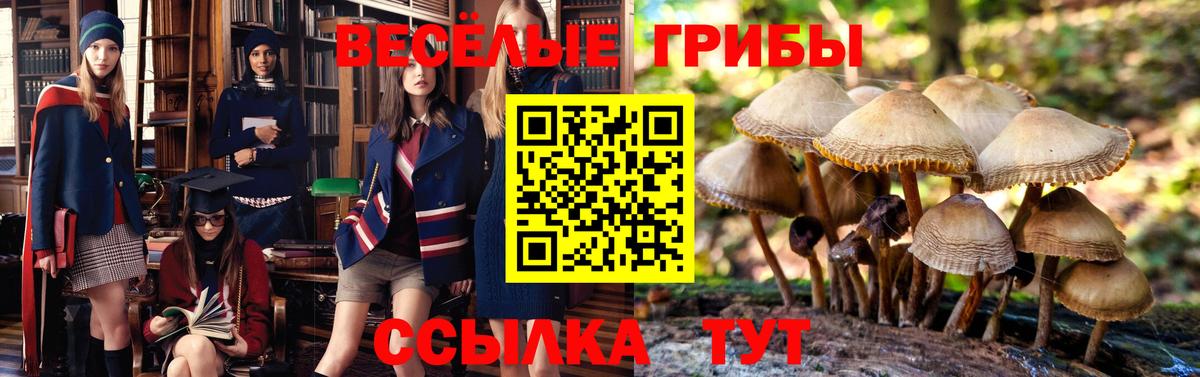 Псилоцибиновые грибы Magic Shrooms  Вход с VPN  Кисловодск 